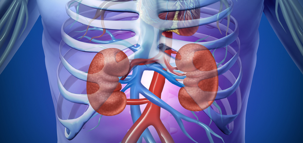 Acute Kidney Injury: Early Detection and Aggressive Management